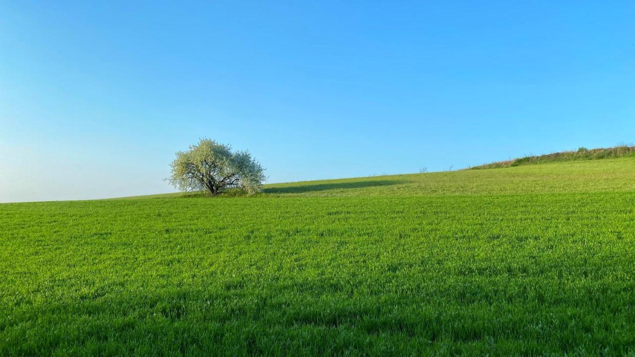 Agriturismo Albana คาสติญโญเน เดลเล สติเวียเร ภายนอก รูปภาพ