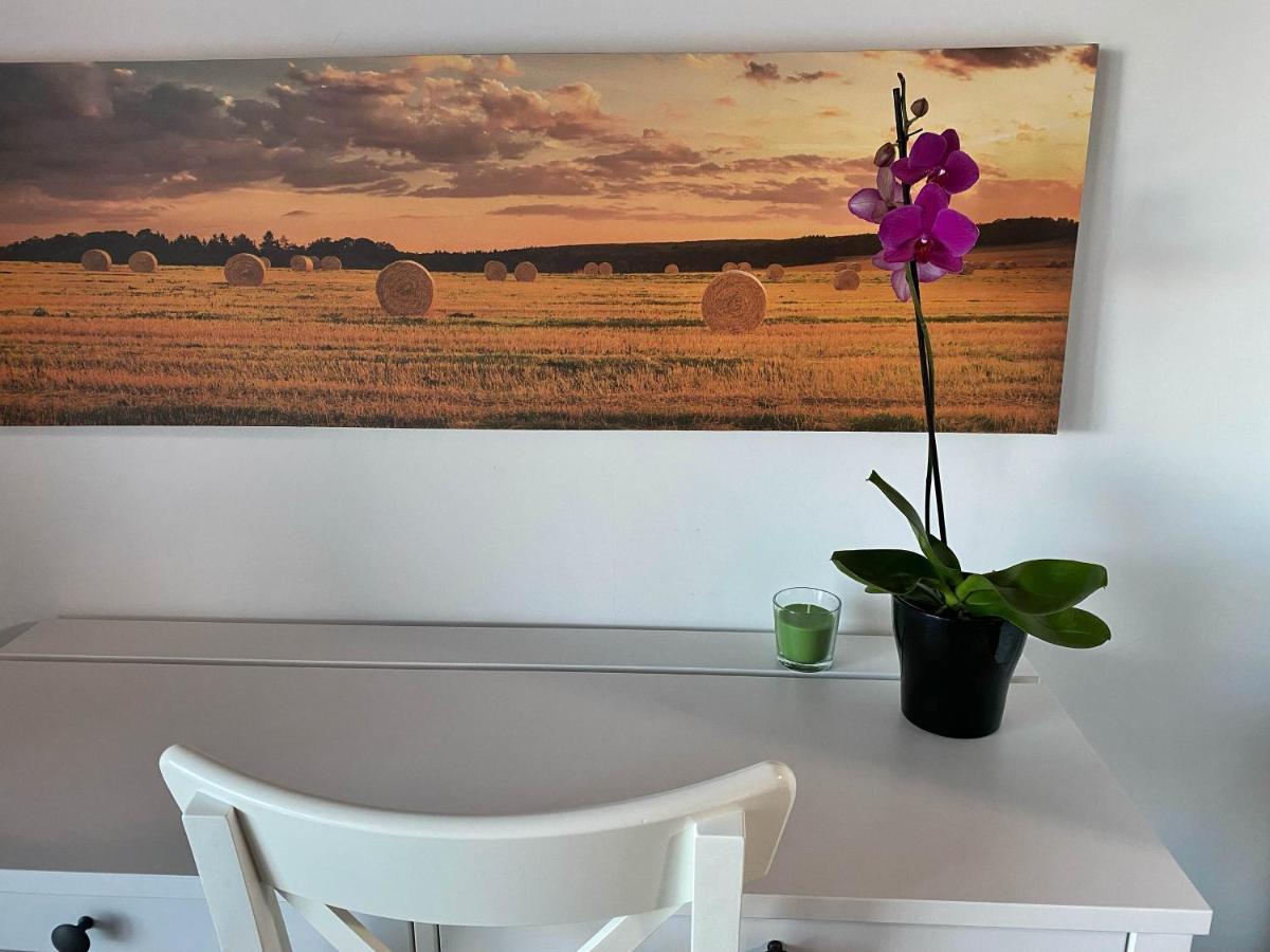 Agriturismo Albana คาสติญโญเน เดลเล สติเวียเร ภายนอก รูปภาพ